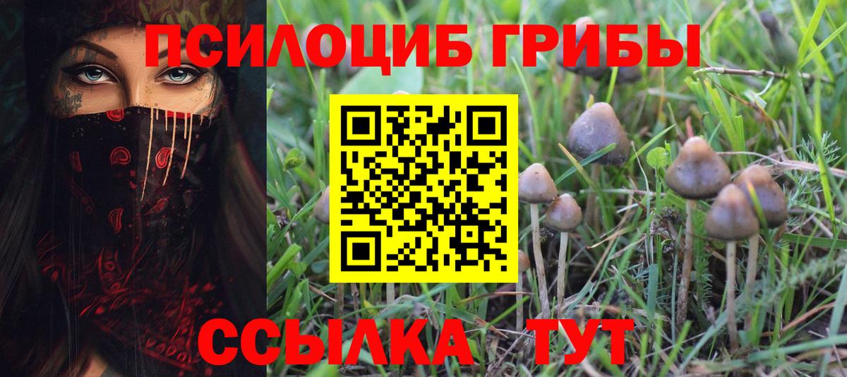 Псилоцибиновые грибы Cubensis  Псилоцибиновые грибы GOLDEN TEACHER  где купить наркоту  Вход с VPN  Азов 